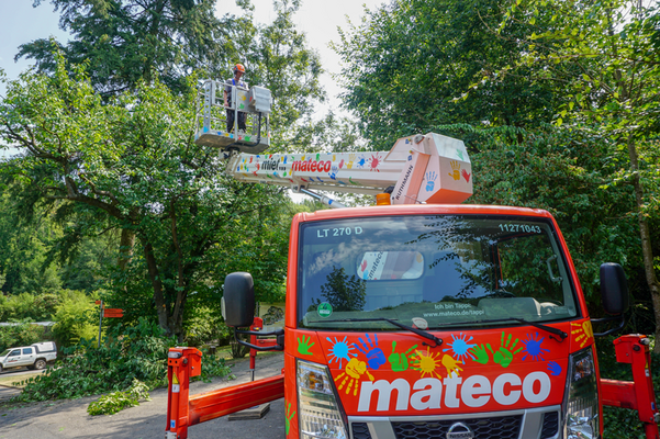 mateco im Einsatz im Neunkircher Zoo: Rote Arbeitsbühne Tappi entfernt Totholz im Rahmen des sozialen Engagements