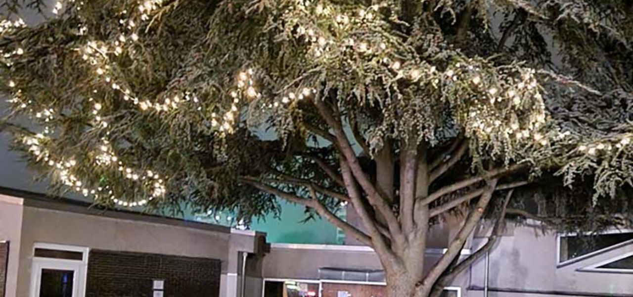 Geschmückter Weihnachtsbaum vor der Zufluchtskirche in Berlin