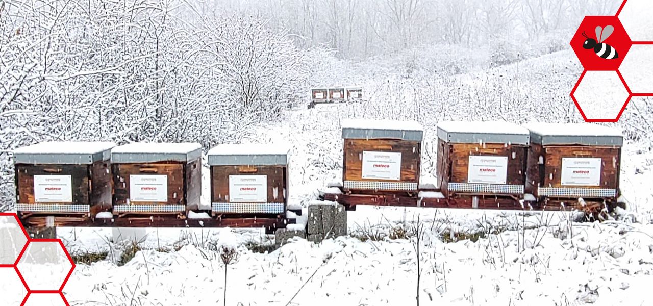 Bienenstöcke im Schnee