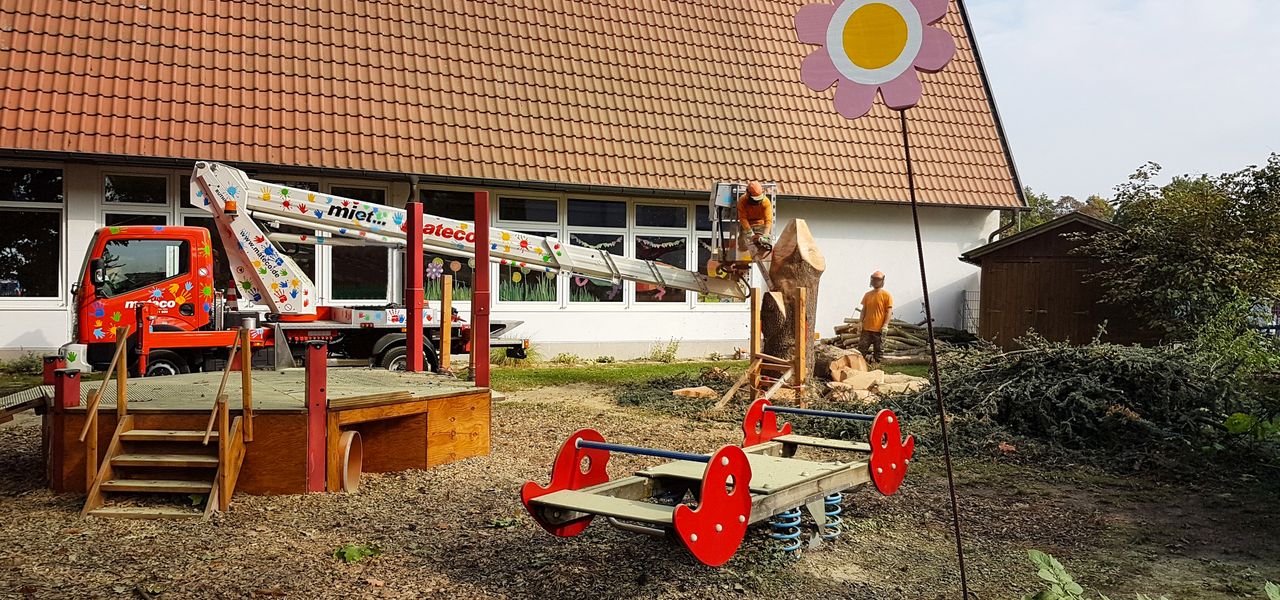 mateco-Tappi-Einsatz in Mutterstadt: Baumpfleger fällen eine Tanne der Protestantischen Kindertagesstätte nach Unwetterschäden