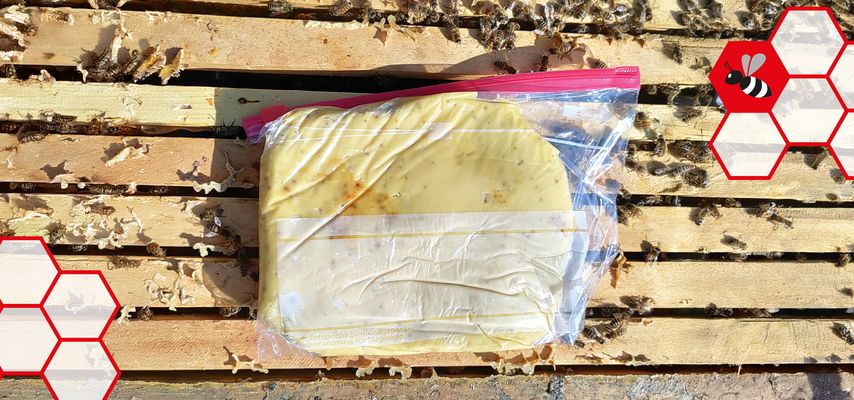 Futterteig für Bienen