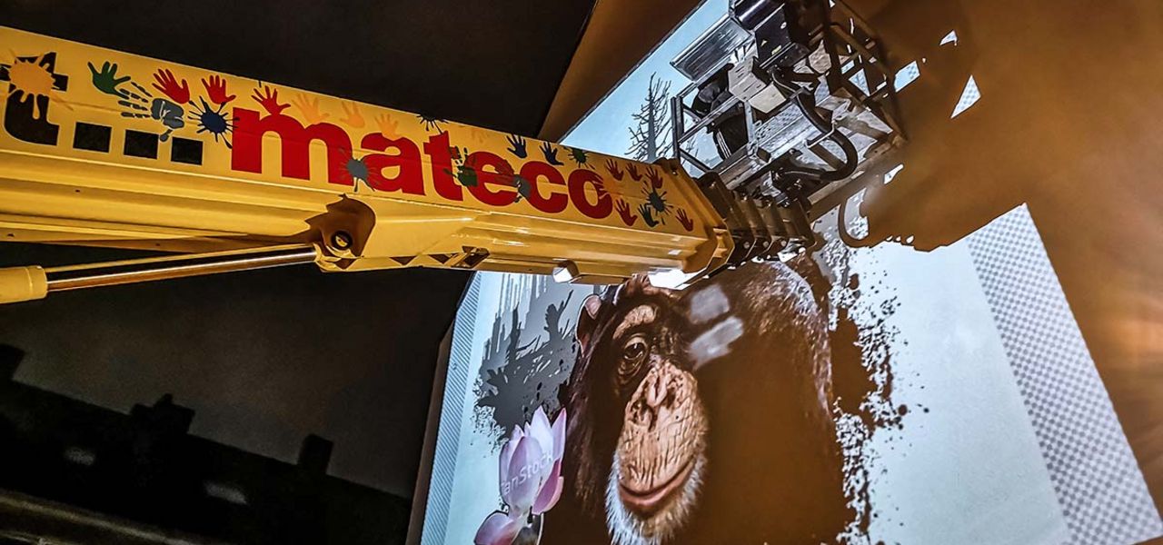 Hauswand wird bemalt. Die Vorlage ist ein Gorilla